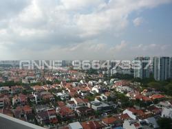 Peach Garden (D15), Apartment #81060812